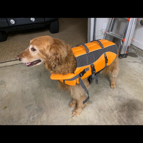 Dog Doggie Life Jacket Poshmark